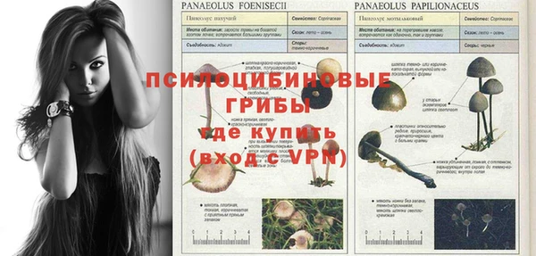 а пвп мука Арсеньев
