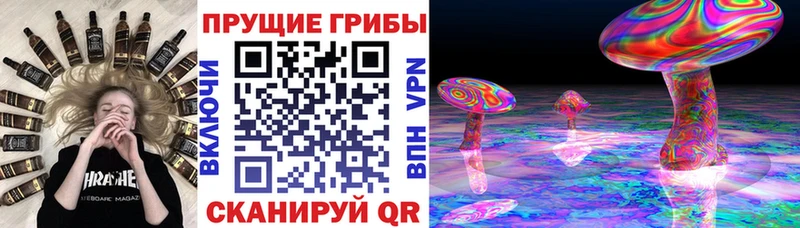 купить  цена  Спасск  блэк спрут   Галлюциногенные грибы ЛСД 